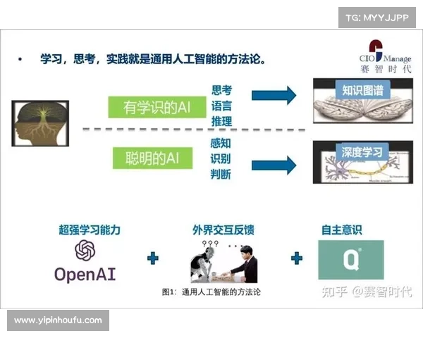 解密多样化发展模式的核心操作策略与实践路径探讨 解密多样化发展模式的核心操作策略与实践路径探讨