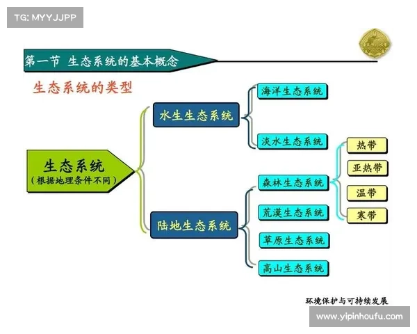 如何在蝴蝶平原实现生态保护与可持续发展的有效路径探索 如何在蝴蝶平原实现生态保护与可持续发展的有效路径探索